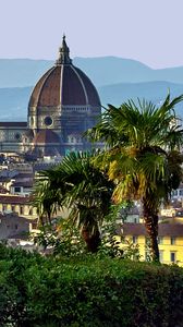 Preview wallpaper italy, florence, tuscany, dome, palm trees