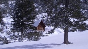 Preview wallpaper izba, wood, mountains, coniferous, snow