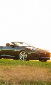 Preview wallpaper jaguar, f-type, v8 s, convertible, side view