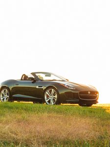 Preview wallpaper jaguar, f-type, v8 s, convertible, side view