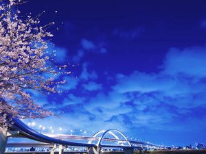 Preview wallpaper japan, hokkaido, bridge, sakura