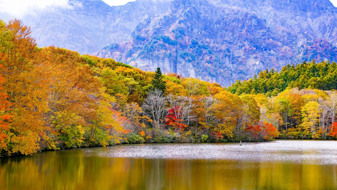 Wallpaper japan, togakushi, lake, mountains, trees, autumn