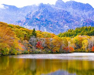 Preview wallpaper japan, togakushi, lake, mountains, trees, autumn