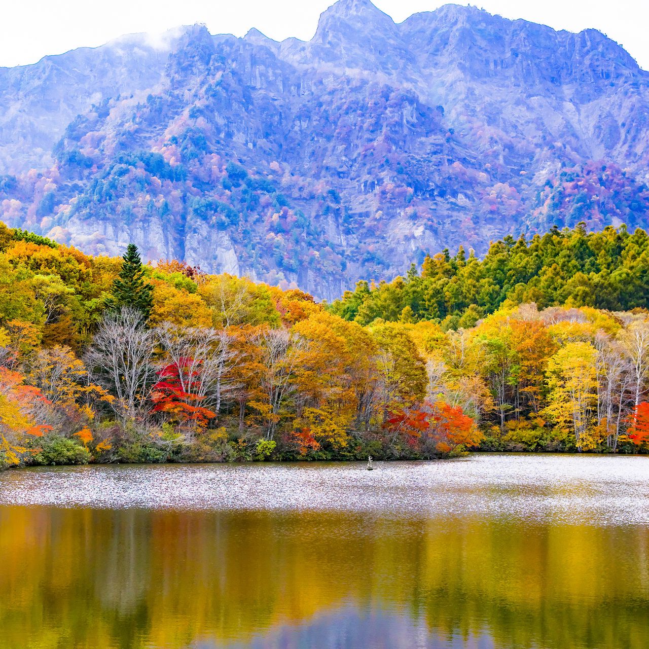 Download wallpaper 1280x1280 japan togakushi lake mountains trees