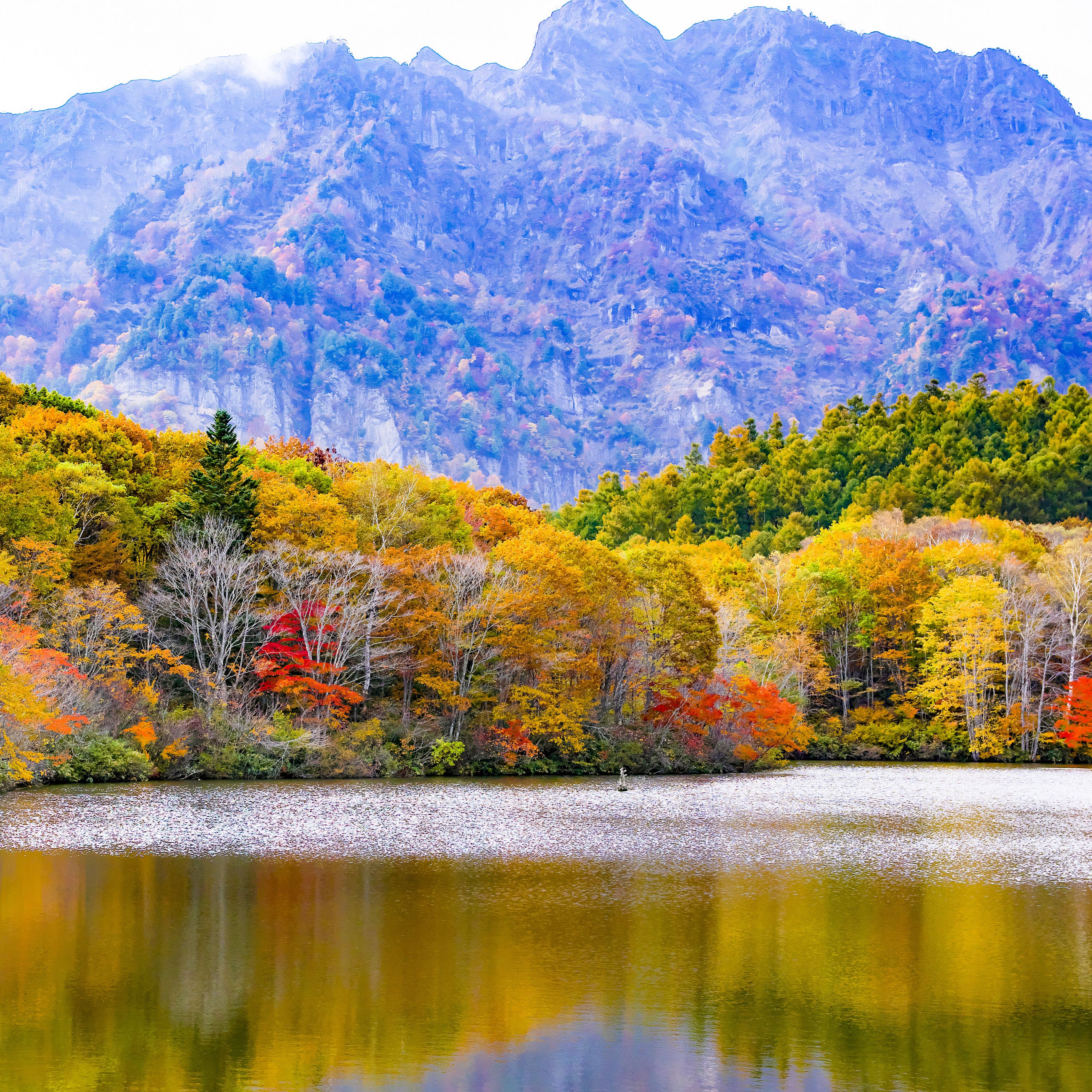3415x3415 Wallpaper japan, togakushi, lake, mountains, trees, autumn