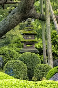 Preview wallpaper japanese garden, stones, balance, trees