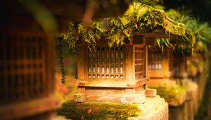 Preview wallpaper japanese stone lantern, japanese lantern, lantern, japanese garden, tree