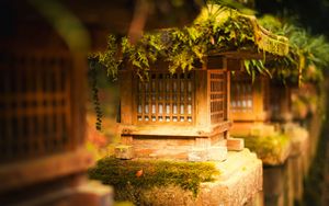 Preview wallpaper japanese stone lantern, japanese lantern, lantern, japanese garden, tree