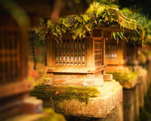 Preview wallpaper japanese stone lantern, japanese lantern, lantern, japanese garden, tree