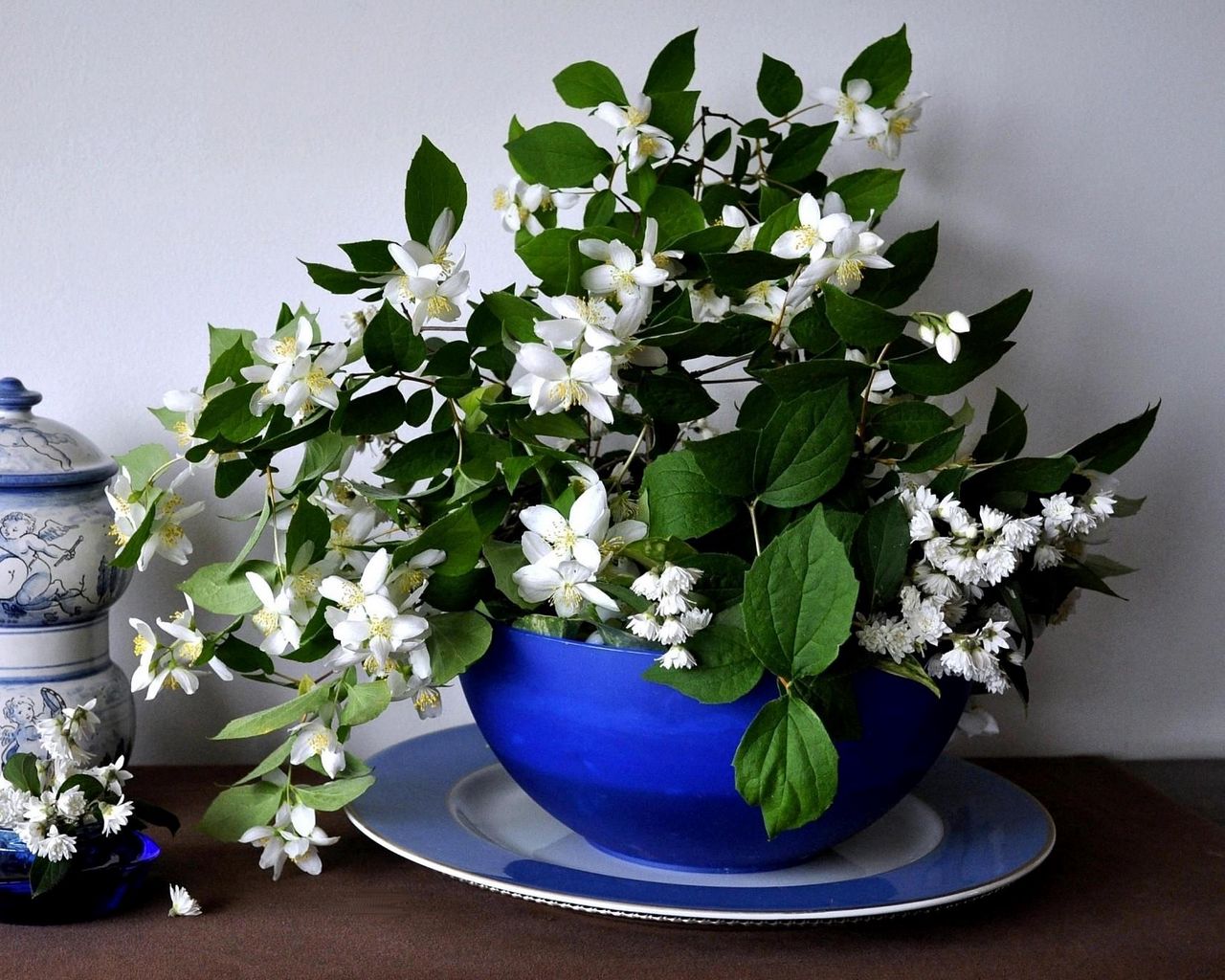 Download wallpaper 1280x1024 jasmine, flower, spring, bowl, china standard  5:4 hd background