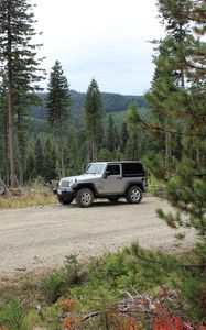 Preview wallpaper jeep, car, gray, road, forest