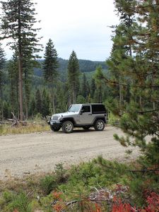 Preview wallpaper jeep, car, gray, road, forest