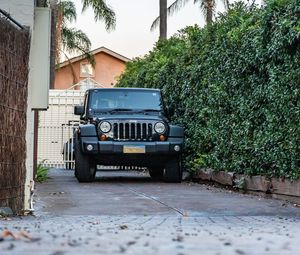 Preview wallpaper jeep, suv, black, palm