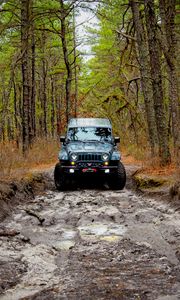 Preview wallpaper jeep wrangler, jeep, car, front view, forest