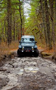 Preview wallpaper jeep wrangler, jeep, car, front view, forest