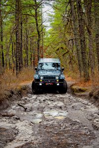 Preview wallpaper jeep wrangler, jeep, car, front view, forest