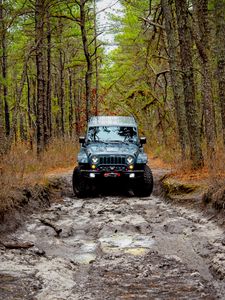 Preview wallpaper jeep wrangler, jeep, car, front view, forest