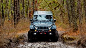 Preview wallpaper jeep wrangler, jeep, car, front view, forest