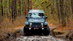 Preview wallpaper jeep wrangler, jeep, car, front view, forest