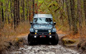 Preview wallpaper jeep wrangler, jeep, car, front view, forest