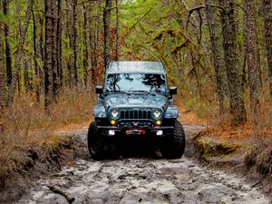 Preview wallpaper jeep wrangler, jeep, car, front view, forest