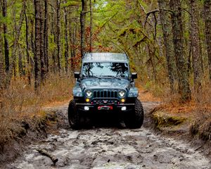 Preview wallpaper jeep wrangler, jeep, car, front view, forest