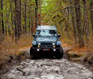 Preview wallpaper jeep wrangler, jeep, car, front view, forest