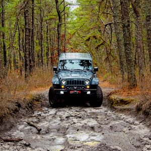 Preview wallpaper jeep wrangler, jeep, car, front view, forest