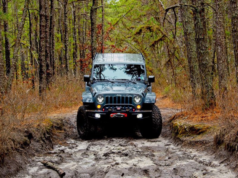 Download Wallpaper 800x600 Jeep Wrangler Jeep Car Front View Forest Pocket Pc Pda Hd Background