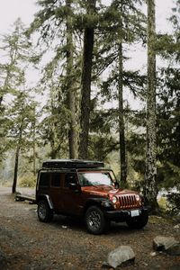 Preview wallpaper jeep wrangler, jeep, car, suv, brown