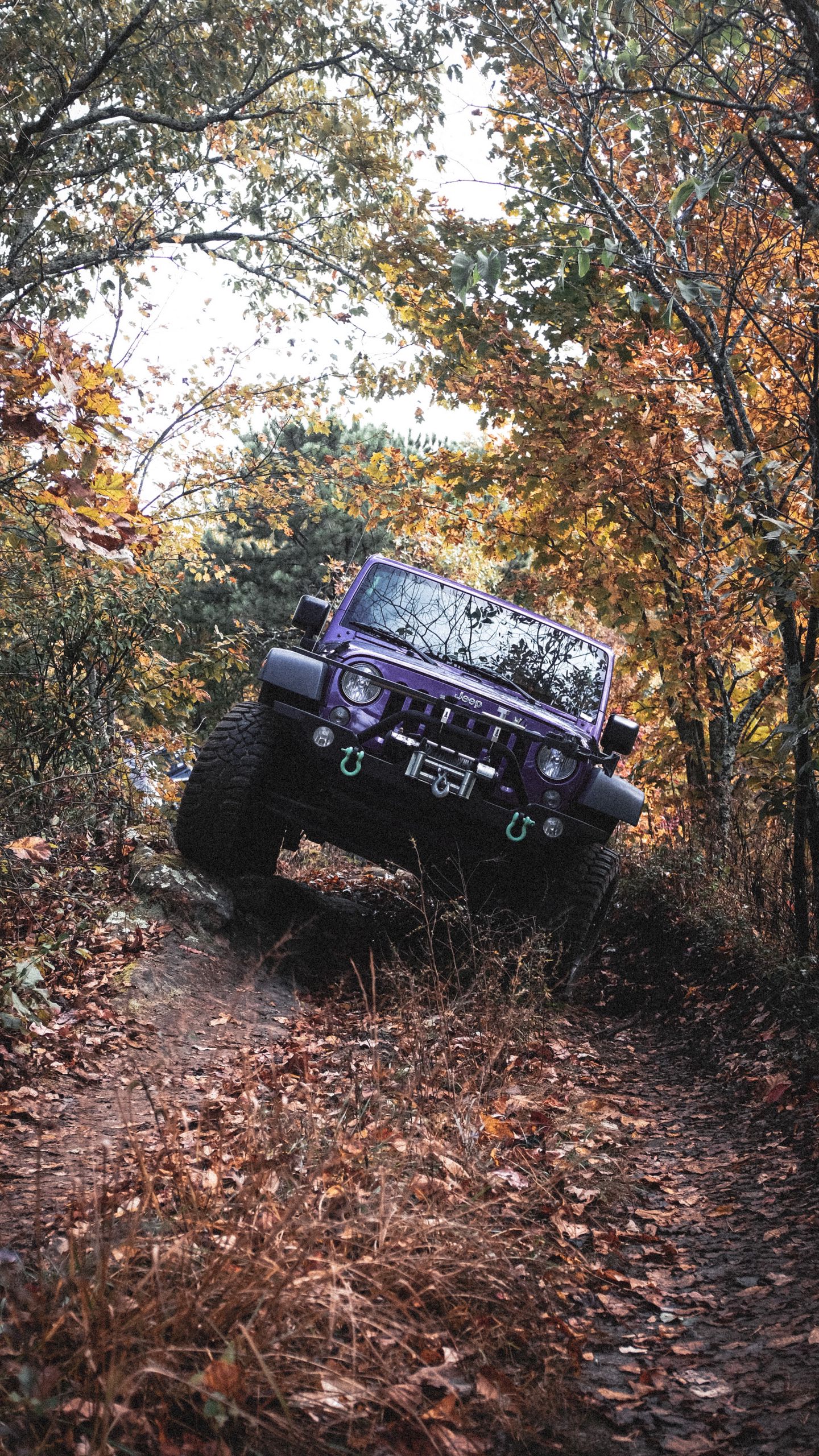 Download wallpaper 1440x2560 jeep wrangler, jeep, car, suv, purple, off  road qhd samsung galaxy s6, s7, edge, note, lg g4 hd background