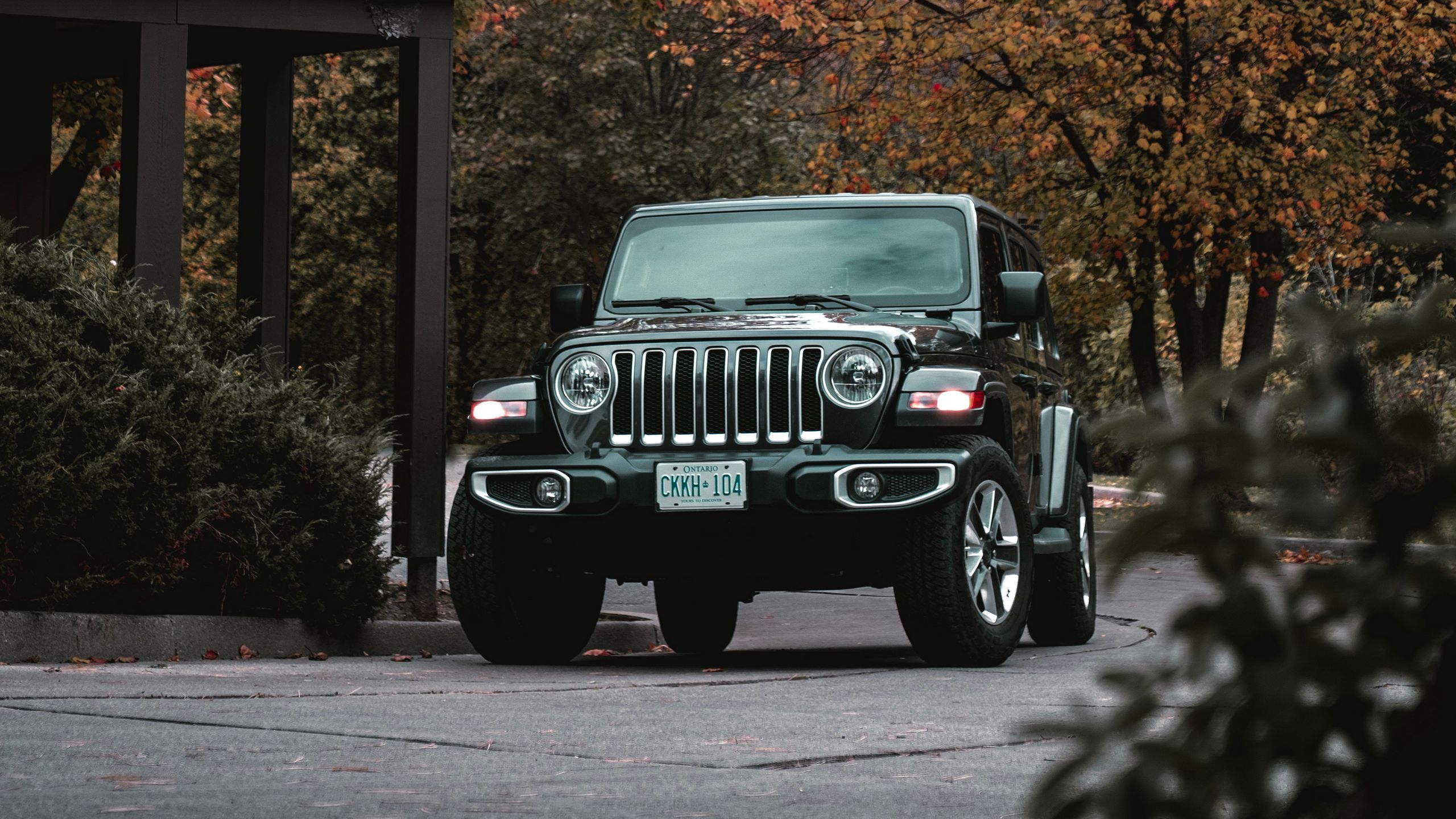 Download wallpaper 2560x1440 jeep wrangler, jeep, car, suv, black, front  view widescreen 16:9 hd background