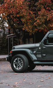 Preview wallpaper jeep wrangler, jeep, car, suv, gray, side view