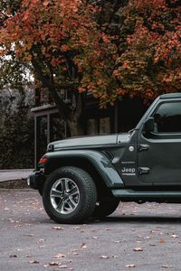 Preview wallpaper jeep wrangler, jeep, car, suv, gray, side view