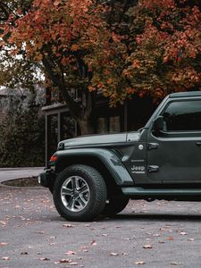 Preview wallpaper jeep wrangler, jeep, car, suv, gray, side view