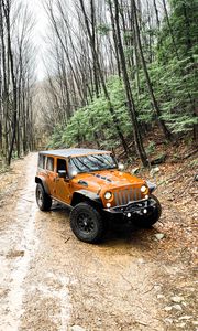 Preview wallpaper jeep wrangler, jeep, car, suv, brown, off road