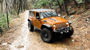 Preview wallpaper jeep wrangler, jeep, car, suv, brown, off road