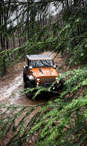 Preview wallpaper jeep wrangler, jeep, car, suv, brown, front view, branches