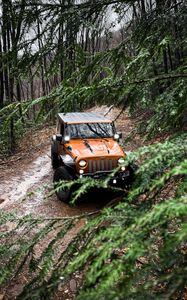 Preview wallpaper jeep wrangler, jeep, car, suv, brown, front view, branches