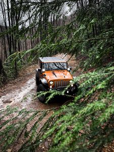 Preview wallpaper jeep wrangler, jeep, car, suv, brown, front view, branches