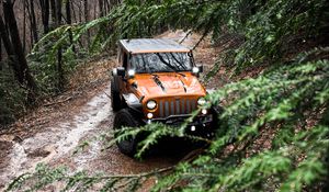 Preview wallpaper jeep wrangler, jeep, car, suv, brown, front view, branches