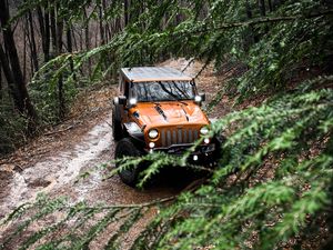 Preview wallpaper jeep wrangler, jeep, car, suv, brown, front view, branches