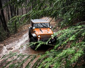 Preview wallpaper jeep wrangler, jeep, car, suv, brown, front view, branches