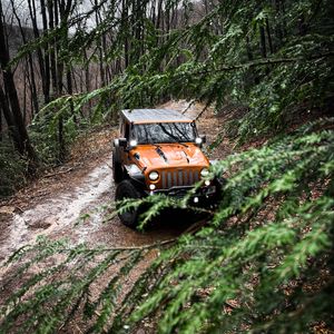 Preview wallpaper jeep wrangler, jeep, car, suv, brown, front view, branches