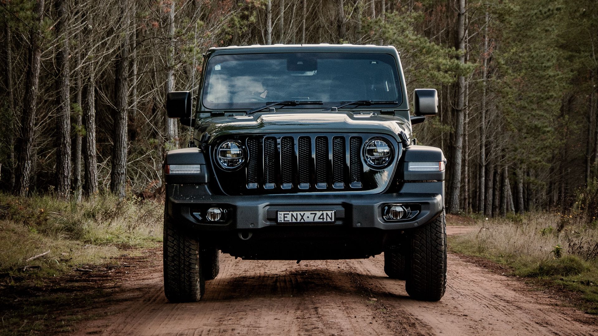 Download wallpaper 1920x1080 jeep wrangler, jeep, car, suv, black, forest  full hd, hdtv, fhd, 1080p hd background
