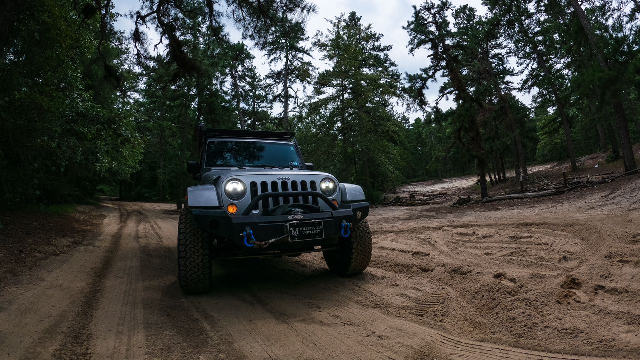 Wallpaper jeep wrangler, jeep, car, suv, gray, forest