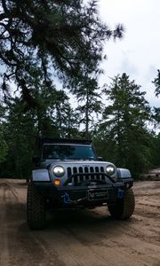 Preview wallpaper jeep wrangler, jeep, car, suv, gray, forest