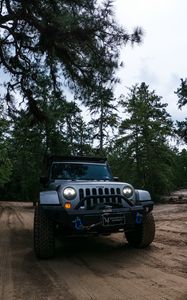 Preview wallpaper jeep wrangler, jeep, car, suv, gray, forest