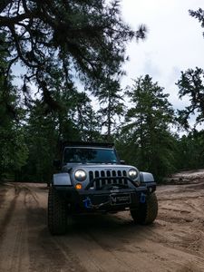 Preview wallpaper jeep wrangler, jeep, car, suv, gray, forest