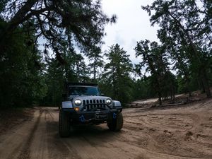 Preview wallpaper jeep wrangler, jeep, car, suv, gray, forest